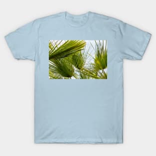 Palm leaves against blue sky T-Shirt